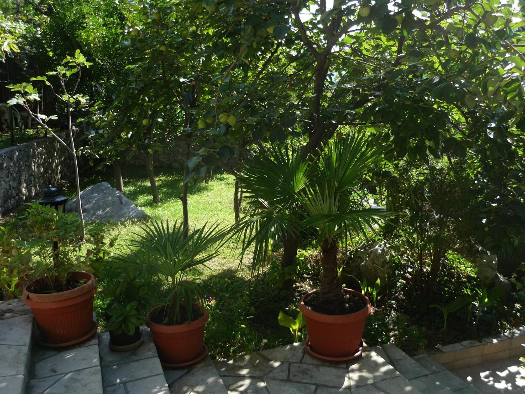 Apartments Villa Pm Kotor Exterior photo